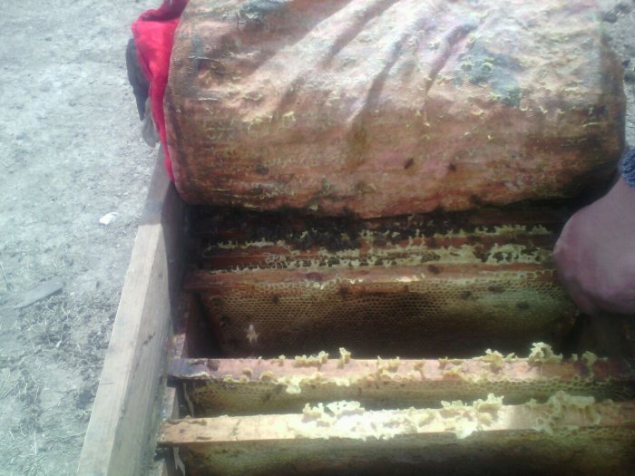 Главное фото