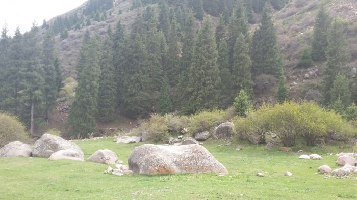 Главное фото