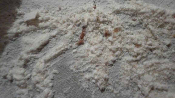 Депутат Ж.Турускулов считает, что при реализации червивой муки есть интерес руководителя Фонда госматрезервов &mdash; Tazabek