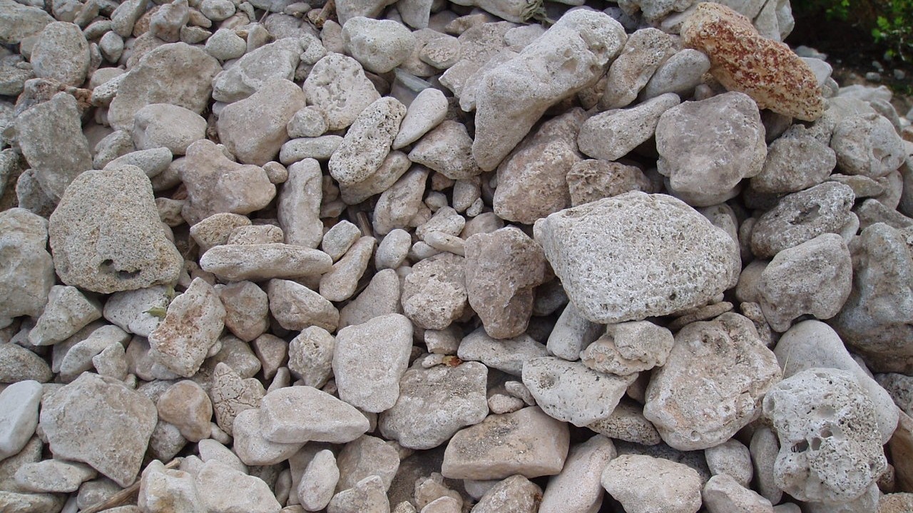 Госкомпромэнергонедр объявил аукцион на участок Северо-Западный месторождения известняка-ракушечника Сары-Таш (координаты) &mdash; Tazabek