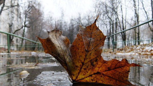 Главное фото