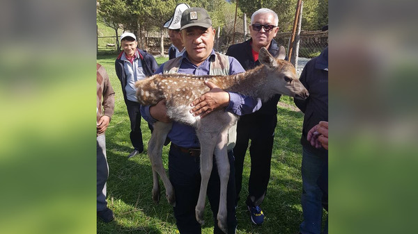 Главное фото