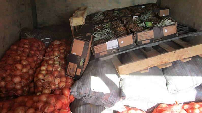 Россельхознадзор уничтожил 60 тонн подкарантинной продукции из Казахстана и Кыргызстана &mdash; Tazabek