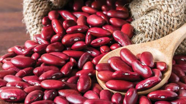 Фасоль на миллионы: Компании-экспортеры, учредители и отчисления в бюджет &mdash; Tazabek