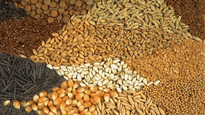 семхозяйства