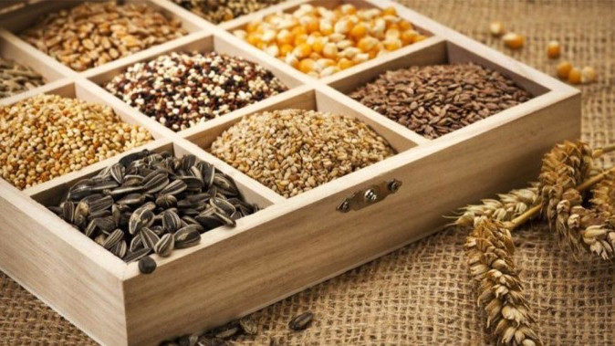 Семхозяйство: Какие компании импортируют семена в Кыргызстан для сельхозкультур? (владельцы+отчисления+страны) &mdash; Tazabek