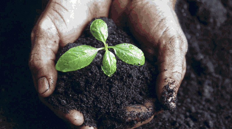 Правительство утвердило порядок определения ценности почв в Кыргызстане &mdash; Tazabek