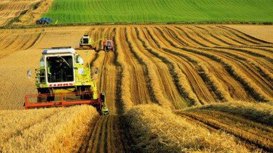 Минсельхоз в 2019 году прогнозирует увеличение посевных площадей на 4,6 тыс. га &mdash; Tazabek