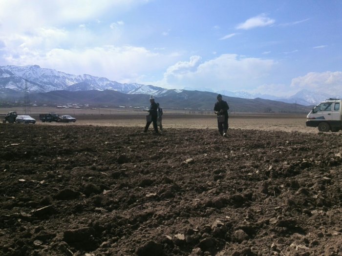 Главное фото