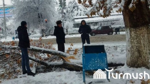 Главное фото