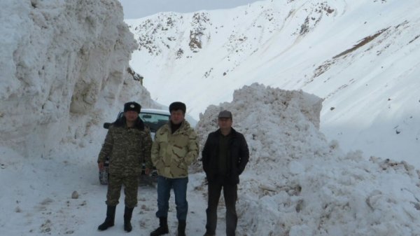 Главное фото