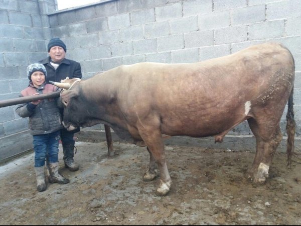 Главное фото