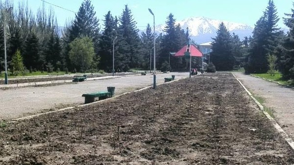 Главное фото