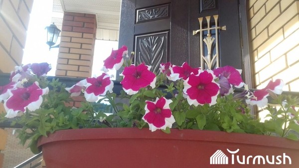 Главное фото