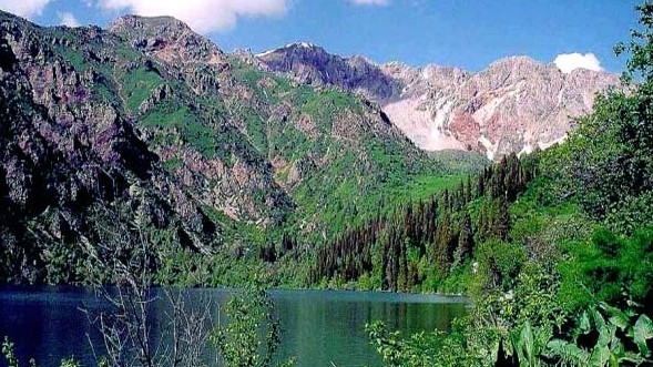 Главное фото