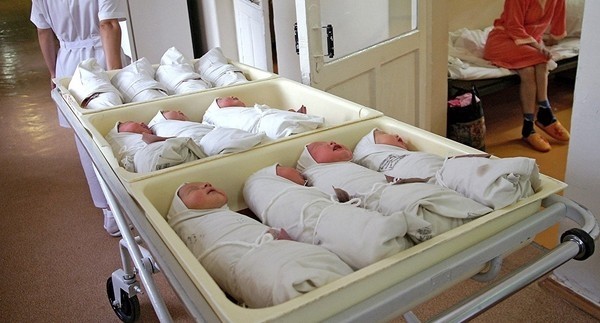 Главное фото