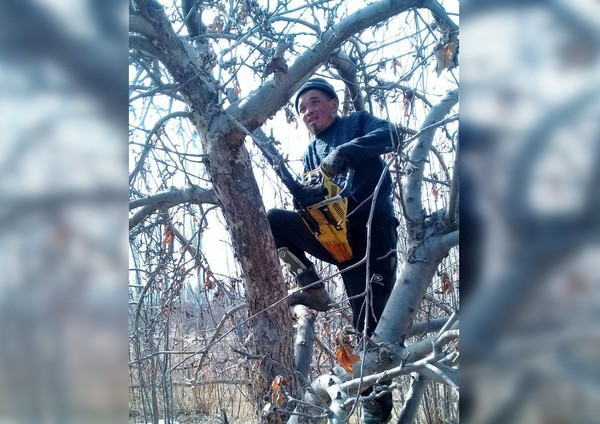 Главное фото