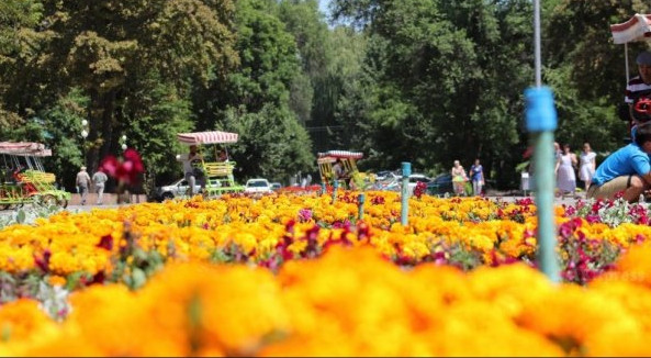 Главное фото