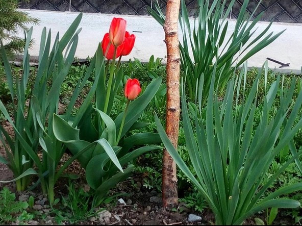 Главное фото