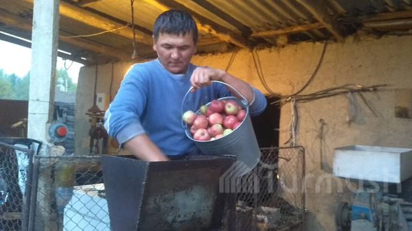 Главное фото