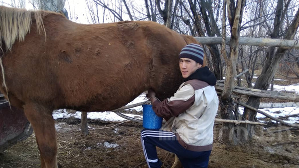 Главное фото