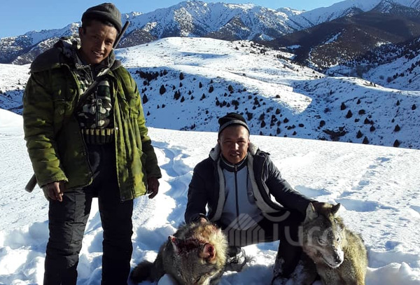 Главное фото