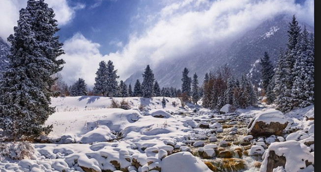 Главное фото