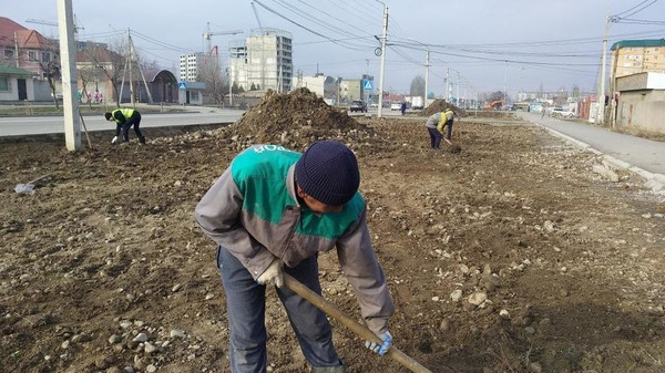 Главное фото