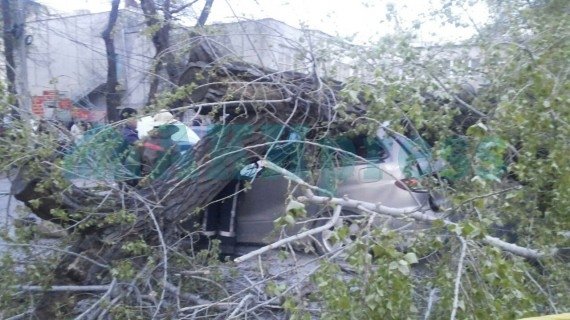 Главное фото