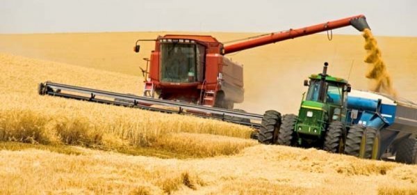 Минсельхоз предлагает организовать 3 сельхозкооператива с использованием кластерного подхода &mdash; Tazabek