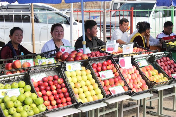 PR: Банк Компаньон продолжает вносить вклад в развитие сельского хозяйства &mdash; Tazabek