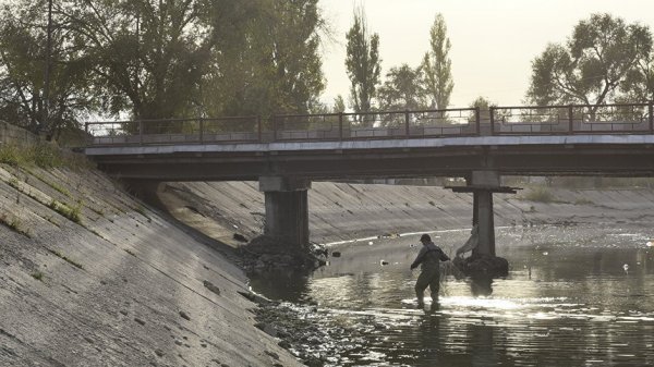 Если Минсельхоз не будет чистить водоканалы, то они превратятся в болото, - депутат &mdash; Tazabek