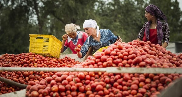 Кыргызстан и Таджикистан из стран СНГ наименее ориентированы на свой нацрынок товаров, - обзор &mdash; Tazabek