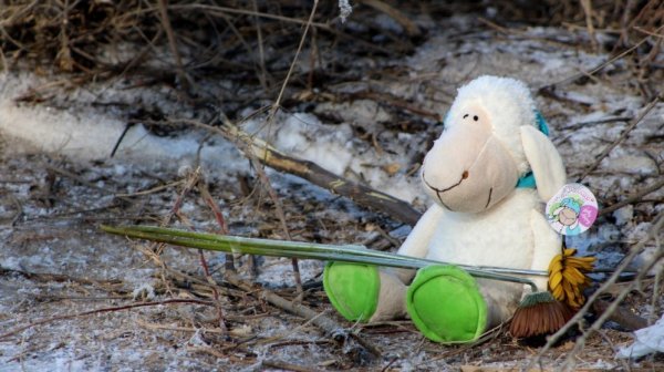 Главное фото