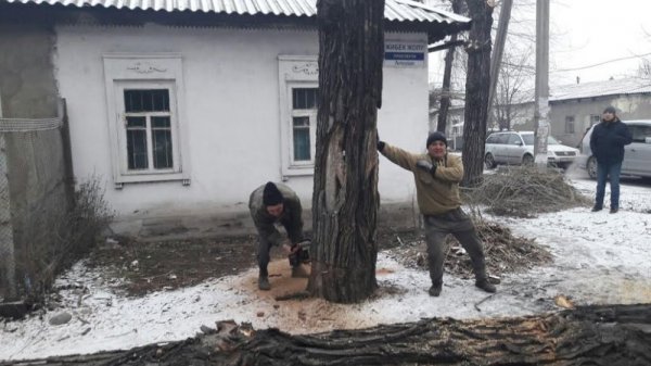 Главное фото
