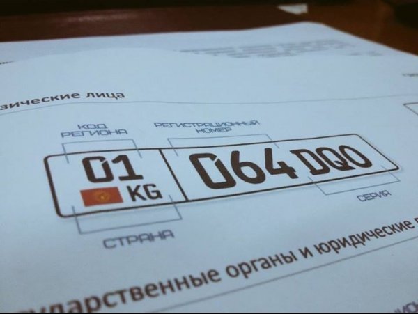За февраль ГРС продала 12 &laquo;крутых&raquo; госномеров почти на полмиллиона сомов &mdash; Tazabek