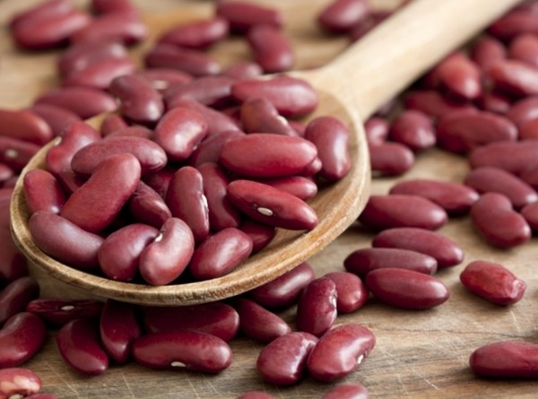 Россия хочет закупить 50% производимой в Кыргызстане фасоли &mdash; Tazabek