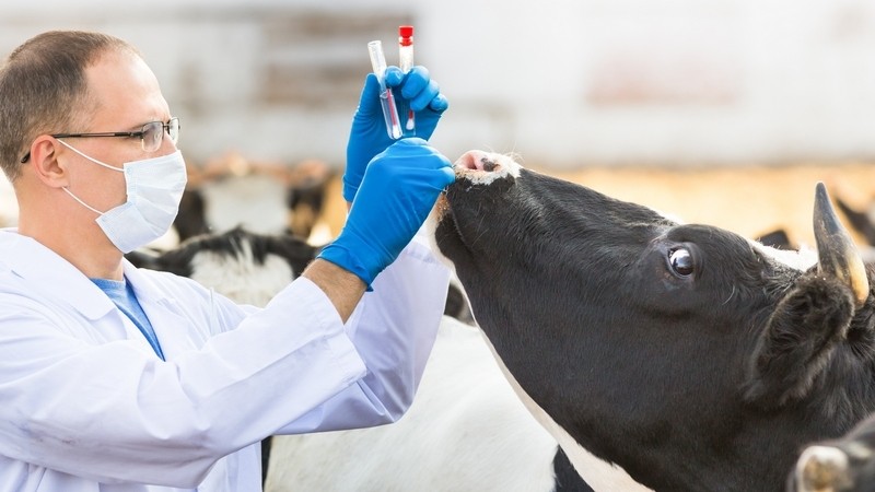 12 стран поставляют в Кыргызстан ветпрепараты (список) &mdash; Tazabek