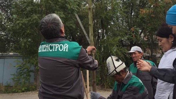 Главное фото