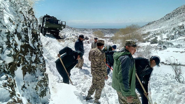 Главное фото