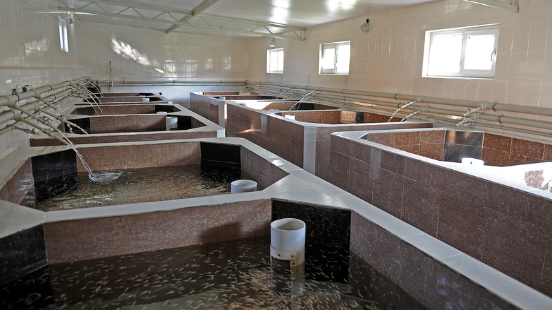 Правительство одобрило соглашение с Саудовской Аравией о сотрудничестве в сфере сельского хозяйства, животноводства и рыбного хозяйства &mdash; Tazabek