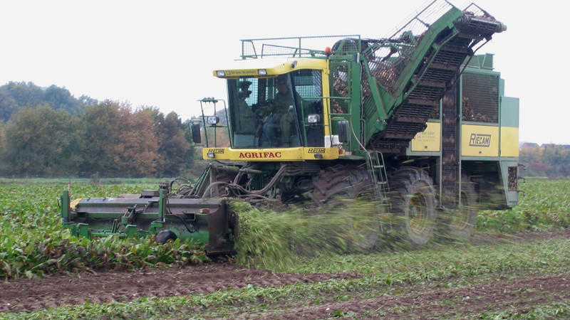 Какие виды сельхозкультур Минсельхоз рекомендует фермерам выращивать в 2019 году? &mdash; Tazabek