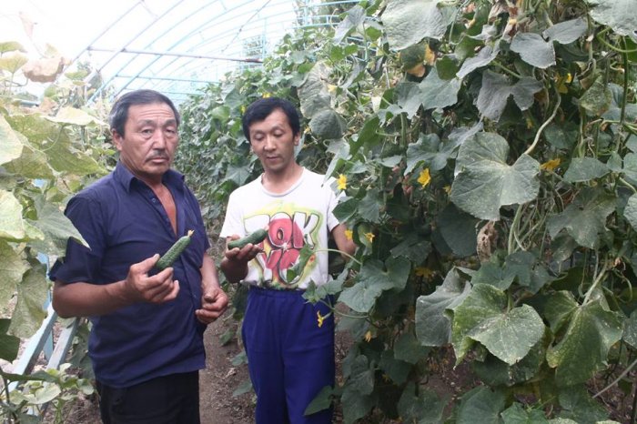 Главное фото