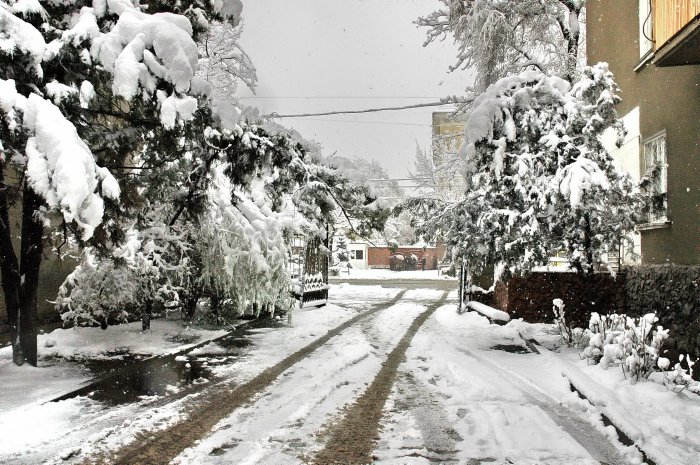 Главное фото