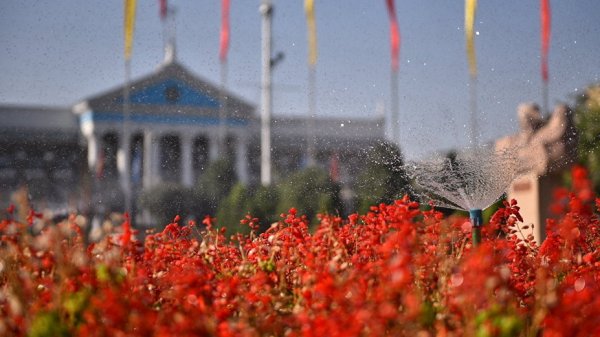 Главное фото