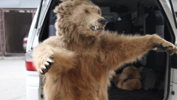 Главное фото