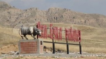 Главное фото