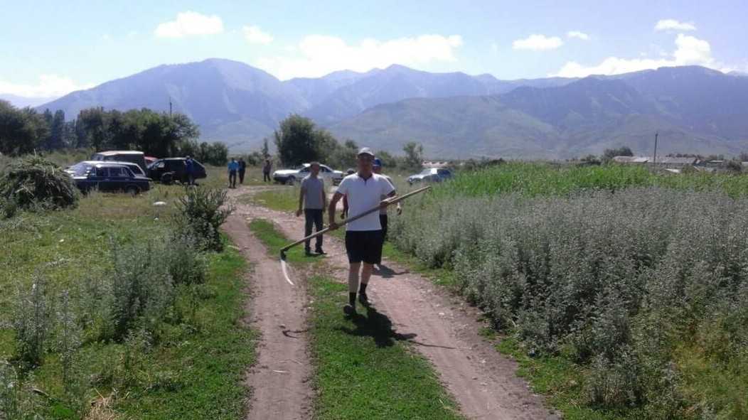 Главное фото