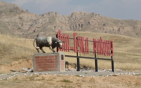 Главное фото