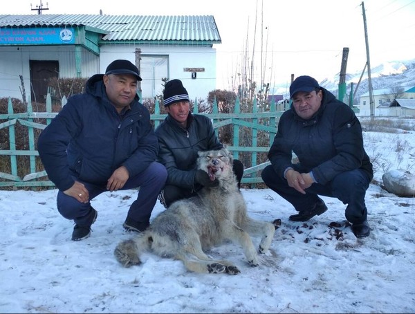 Главное фото